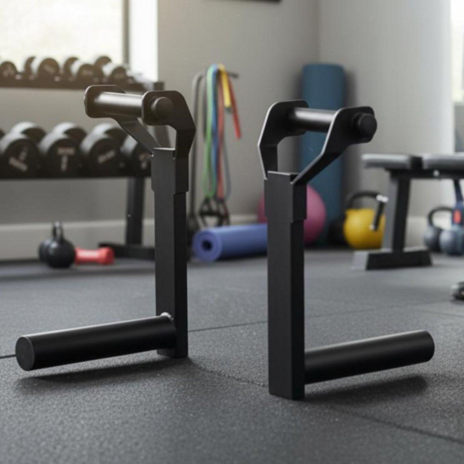 Multi-size Barbell Plate Holde - Home Gym Gym ulasan dan harga