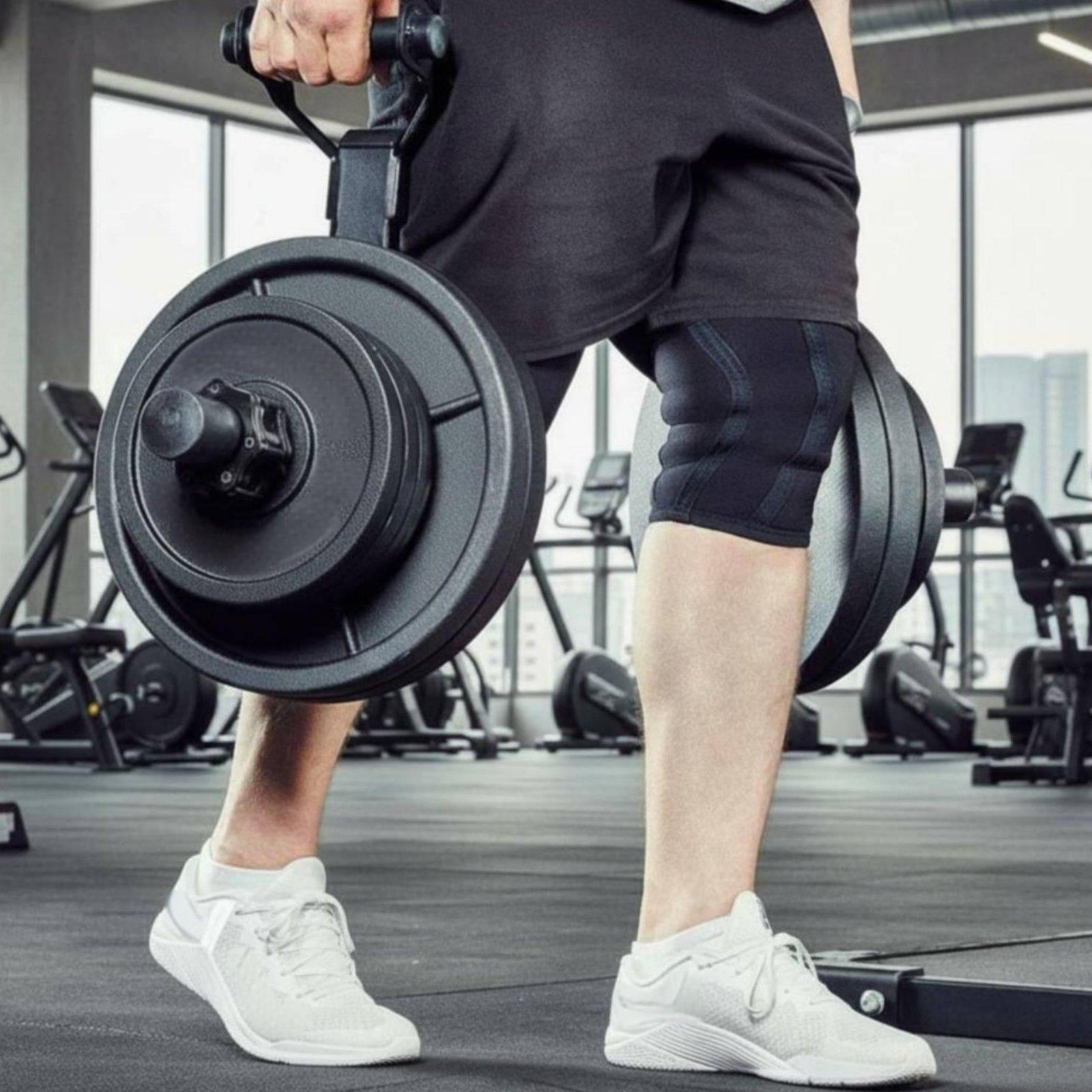 Multi-size Barbell Plate Holde - Home Gym Gym ulasan dan harga
