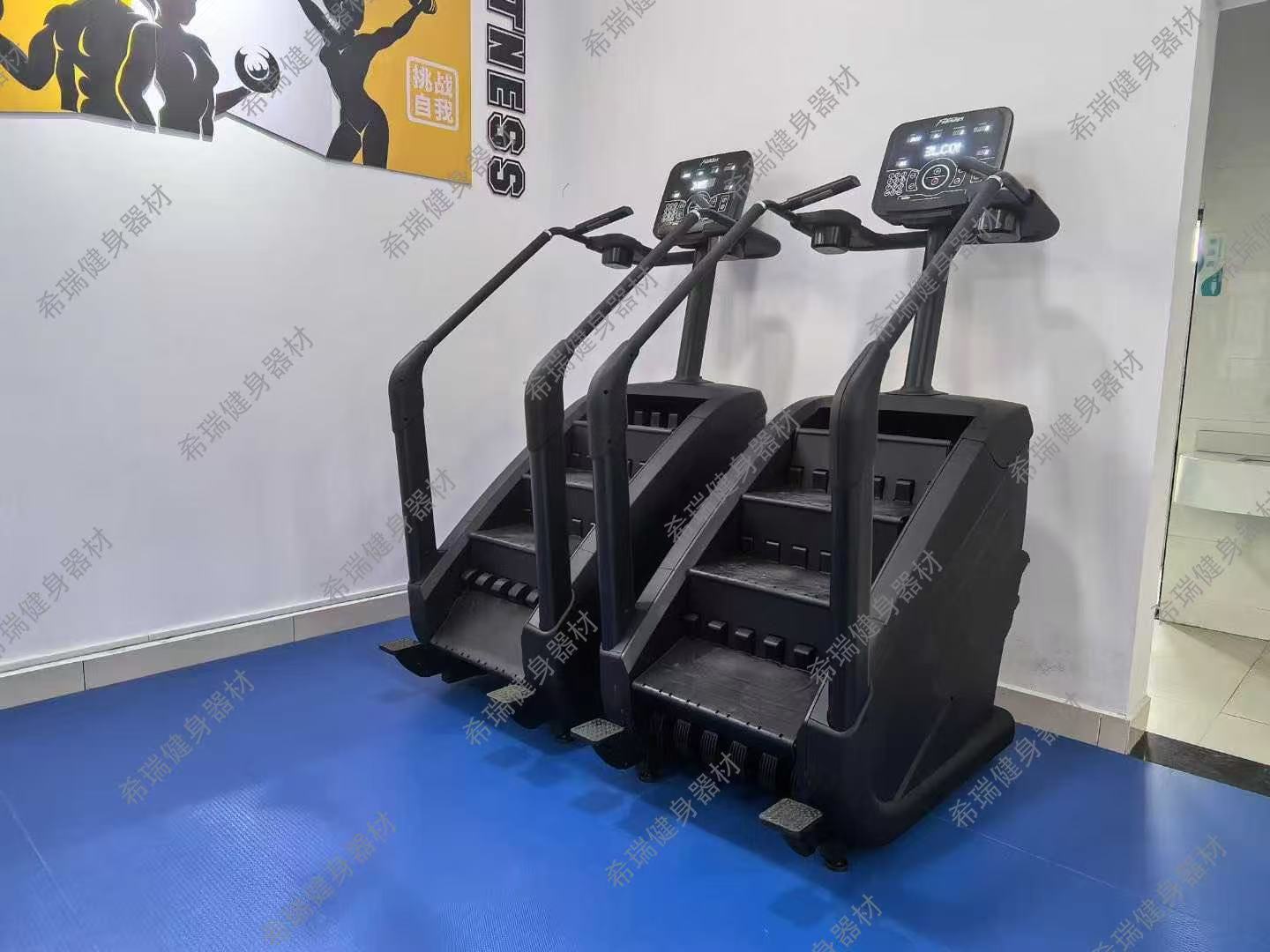Commercial Cardio Equipment Ex - Home Gym Used ulasan dan harga