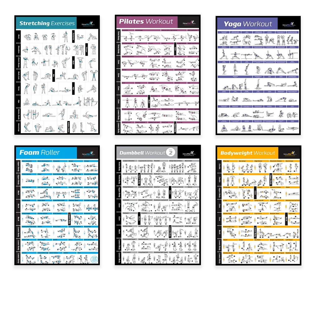 Body Exercise Training Chart W - Home Gym House ulasan dan harga