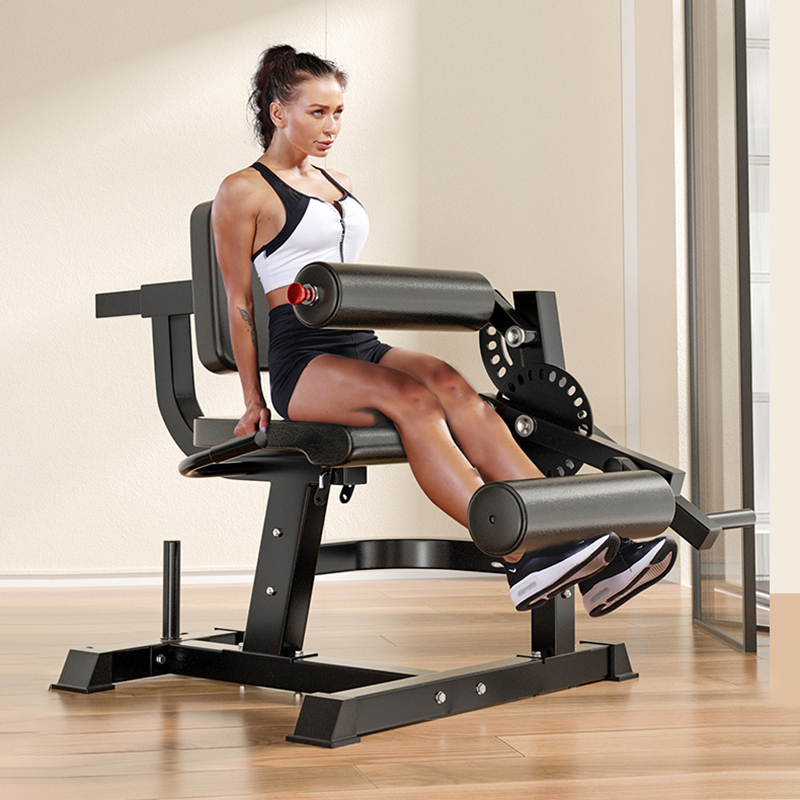 Adjustable 6 Position Workout  - Home Gym Leg Extension Machine ulasan dan harga
