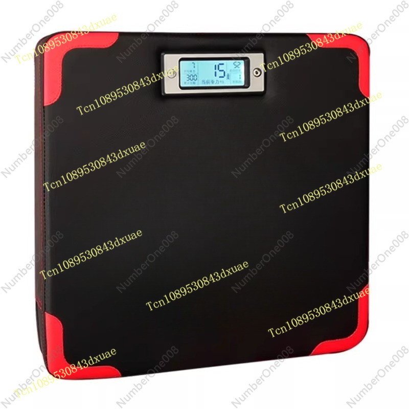 Second Generation Punch Power  - Speed Bag Boxing ulasan dan harga