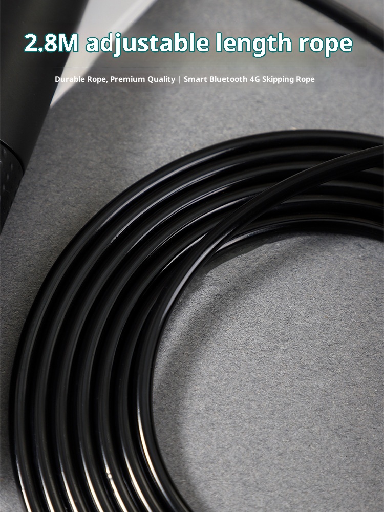 EE High Quality ABS Material D - Jump Rope Bearing ulasan dan harga