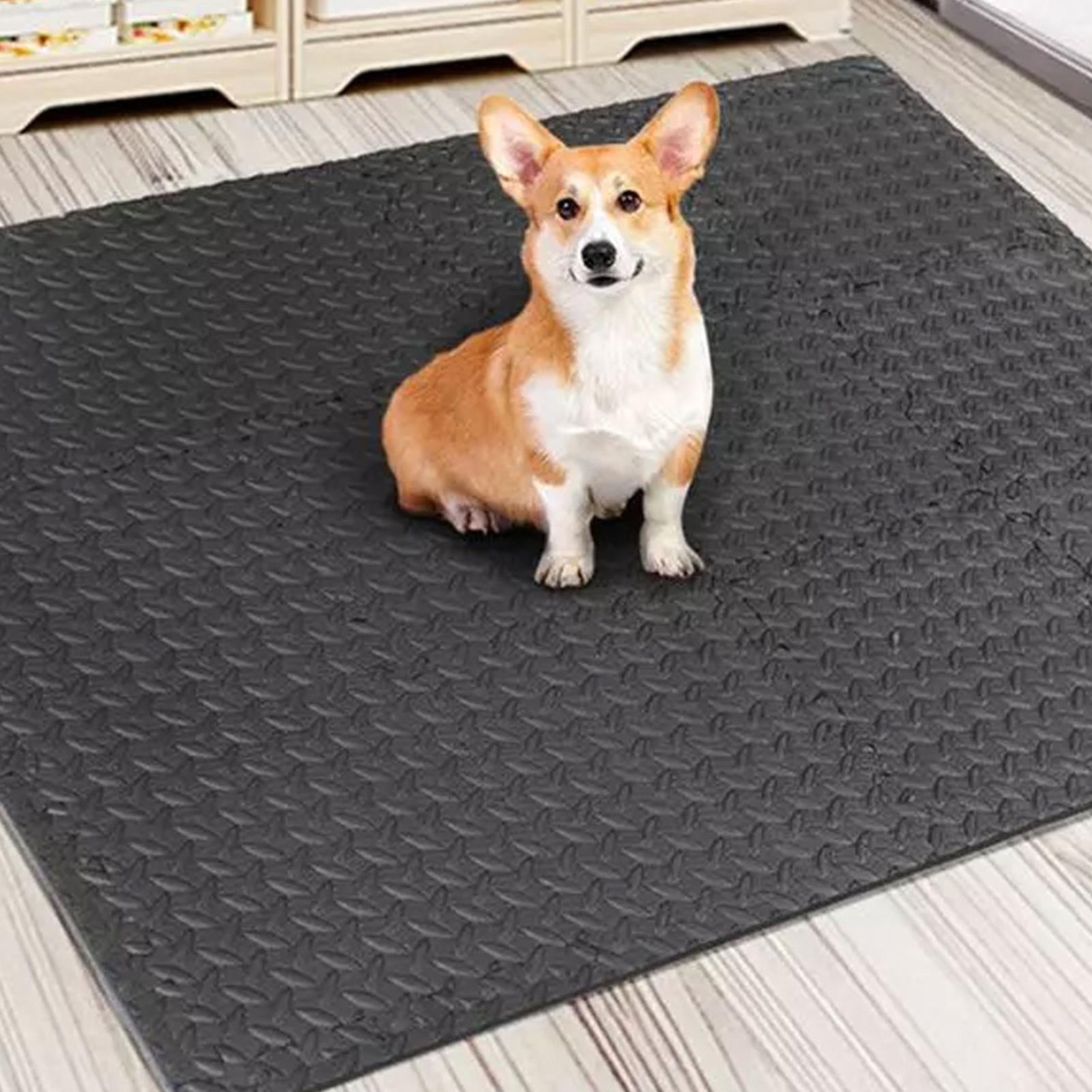 Puzzle Exercise Mat 12 Pieces  - Home Gym For Toddlers ulasan dan harga